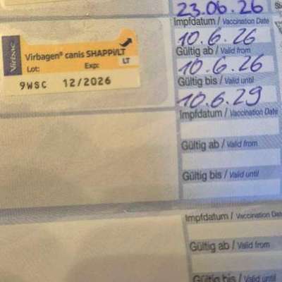 Impfung, Auffrischung-Beitrag-Bild