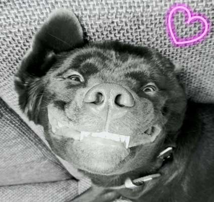 Foto-Challenge 76: Foto in Schwarz-Weiss-Beitrag-Bild