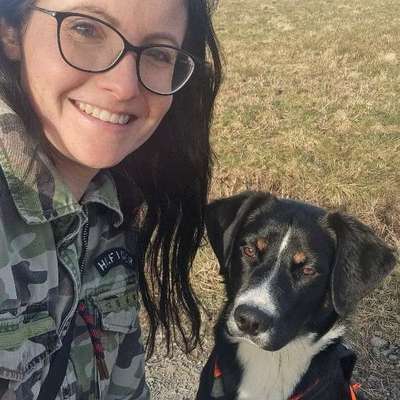 Hundetreffen-Social Walks Nähe Rennerod-Bild