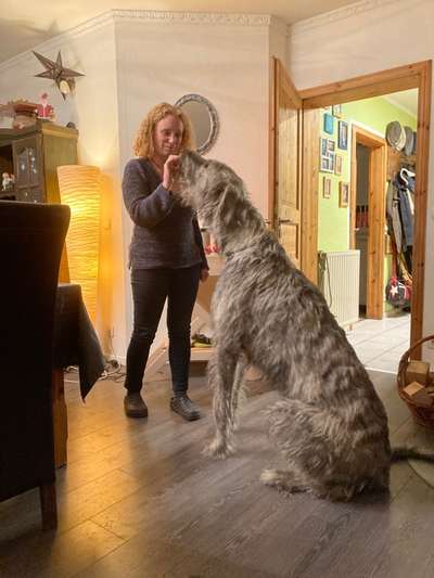 Wie heißt dein Hund?-Beitrag-Bild