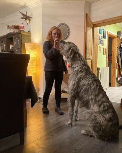 Wie heißt dein Hund?-Beitrag-Bild