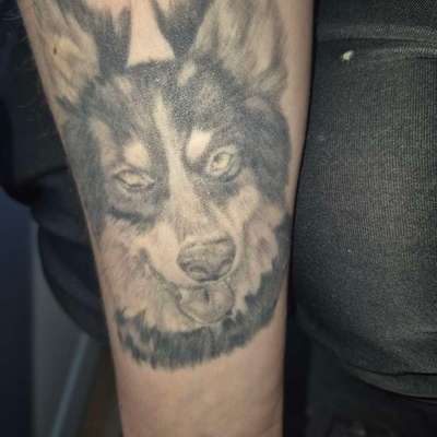 Andenken nach dem Verlust des Seelenhundes-Beitrag-Bild