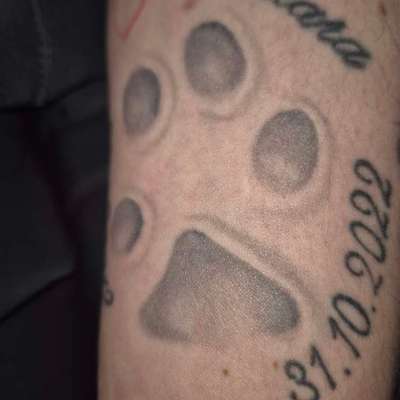 Andenken nach dem Verlust des Seelenhundes-Beitrag-Bild