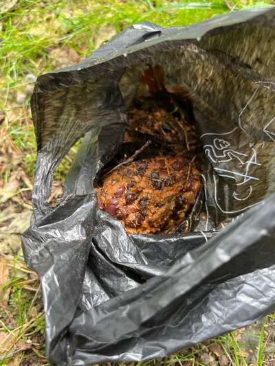 Giftköder-Giftköder-Bild