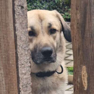 Gabriele's Profilbild