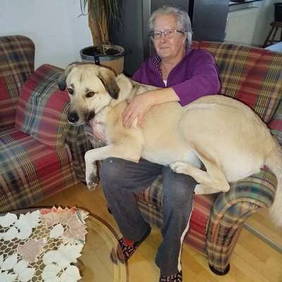 aktuelles Foto Gruppe Kangal