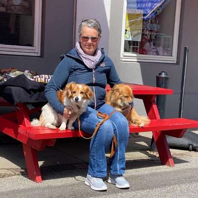 Hundetreffen-Hundewalk mit kleineren Hunden-Profilbild