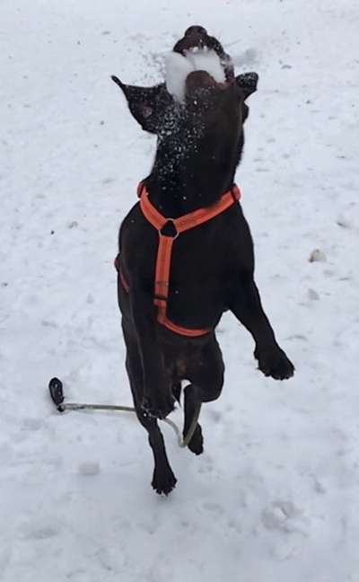 Challenge Nr. 15
Spiel im Schnee-Beitrag-Bild