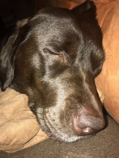 Lieblingsbild-Beitrag-Bild