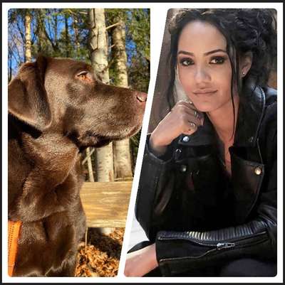 Wie heißt dein Hund?-Beitrag-Bild