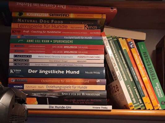 Hunde-Fachliteratur-Beitrag-Bild