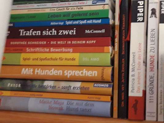 Hunde-Fachliteratur-Beitrag-Bild