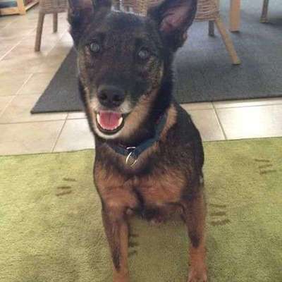 Lieblings Schnappschuss?-Beitrag-Bild