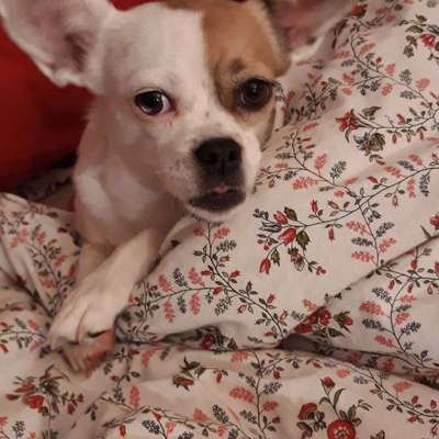 Lieblings Schnappschuss?-Beitrag-Bild