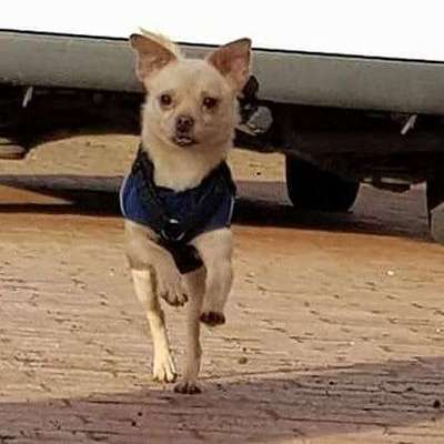 Lieblings Schnappschuss?-Beitrag-Bild