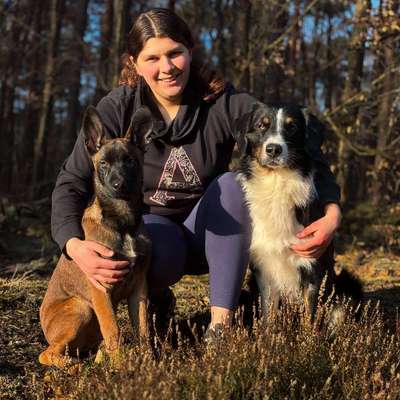 Hundetreffen-Gemeinsame Spaziergänge-Bild