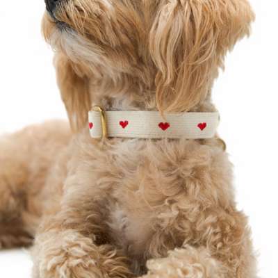 %{de_profession_title}-Halsband - Little Sweetheart-Bild