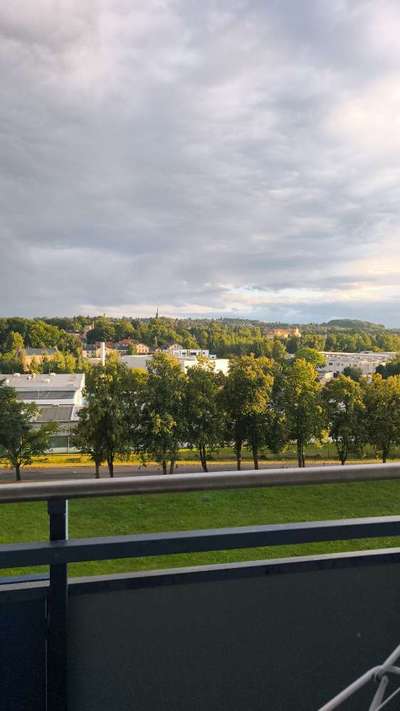 Hundetreffen-Gassirunde und Spielrunde in Ebersbach -Neugersdorf-Bild