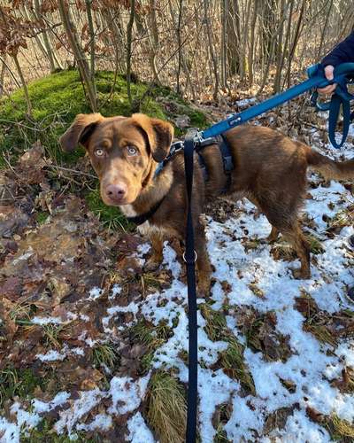 Lieblingsbild-Beitrag-Bild