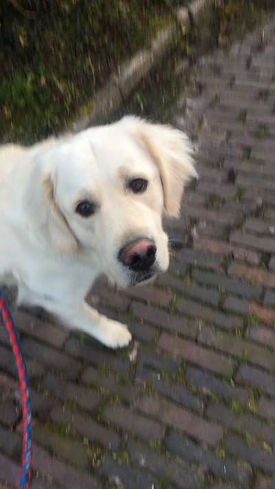 Lieblingsbild :D-Beitrag-Bild