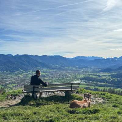 Hundetreffen-Spielrunden mit Nele