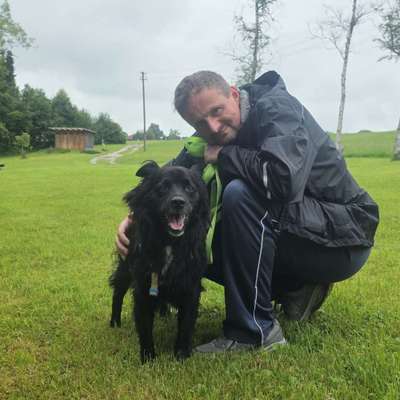 Hundetreffen-Täglich Gassi