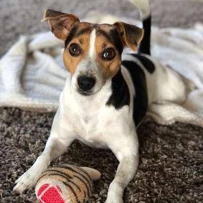 Fotochallange Nr. 57     PORTRÄT.   Beendet!!!!!!!!-Beitrag-Bild