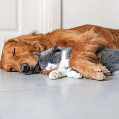 Medizinische Dienstleistungen-HanseMerkur Agentur Nils Knaak-Bild