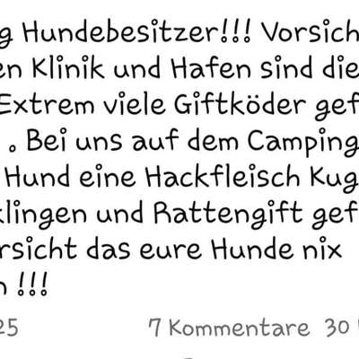 Giftköder-Giftköder Neustadt in Holstein-Bild