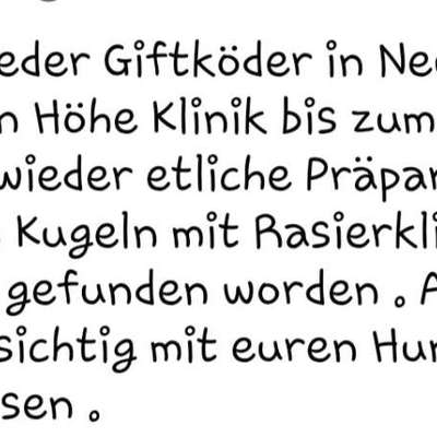 Giftköder-Erneute Giftköder-Bild