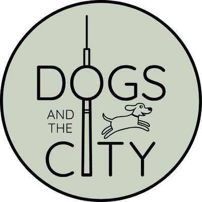 Hundeschulen-Dogs and the City-Bild