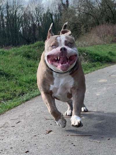 Her mit dem Grimassen-Beitrag-Bild