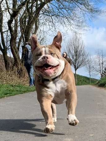 Her mit dem Grimassen-Beitrag-Bild