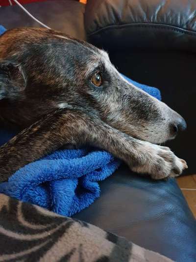 Fotochallange Nr. 57     PORTRÄT.   Beendet!!!!!!!!-Beitrag-Bild