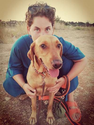 Hundetreffen-Wandern mit Hund-Bild