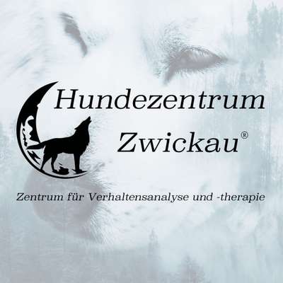 Hundeschulen-Hundezentrum Zwickau-Bild