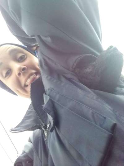 Trickdogging-Beitrag-Bild