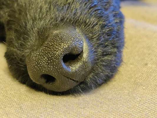 Blick fürs Detail!-Beitrag-Bild