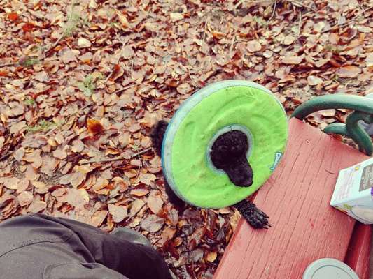 Lustige Grimassen & verrückte Posen-Beitrag-Bild