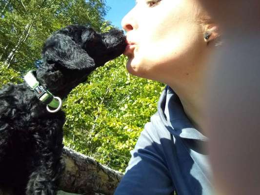 Trickdogging-Beitrag-Bild