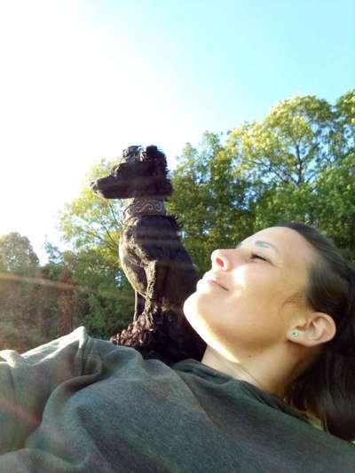 Dogorama Photo Challenge - Gassipause-Beitrag-Bild