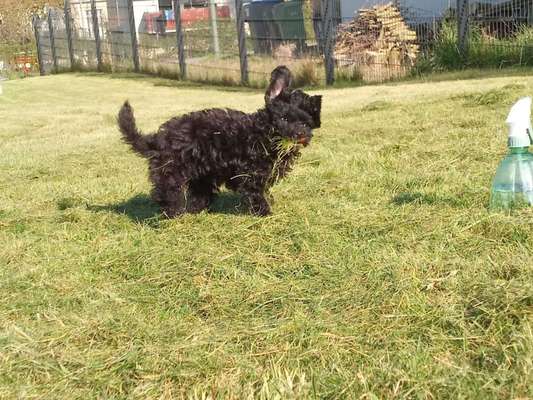 Lustige Grimassen & verrückte Posen-Beitrag-Bild