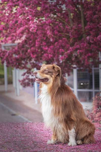 Lieblingsbild :D-Beitrag-Bild