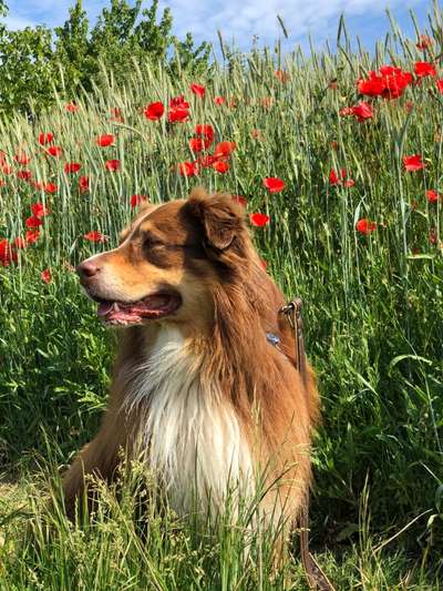 Lieblingsbild :D-Beitrag-Bild