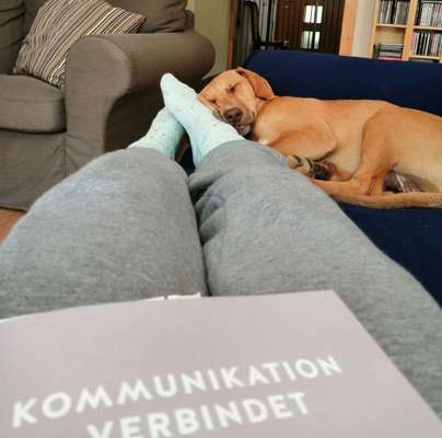 FOTO-Challenge  NR. 91: Die pure Entspannung-Beitrag-Bild