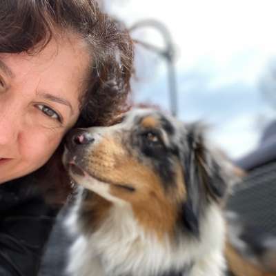 Hundetreffen-Hundettefen-Profilbild