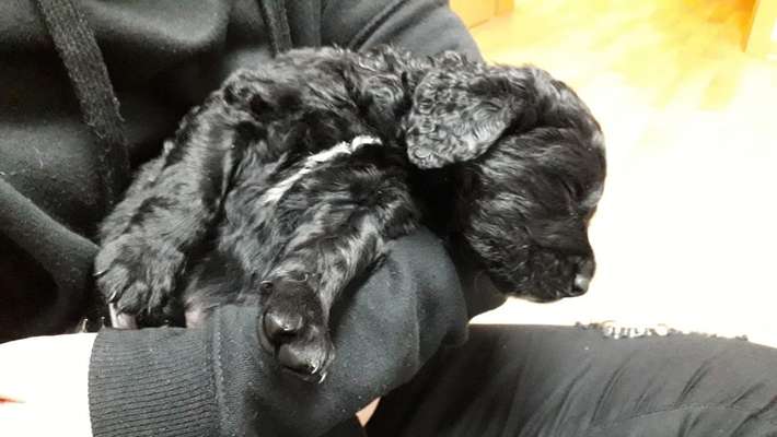 Vorher.... Nachher-Beitrag-Bild