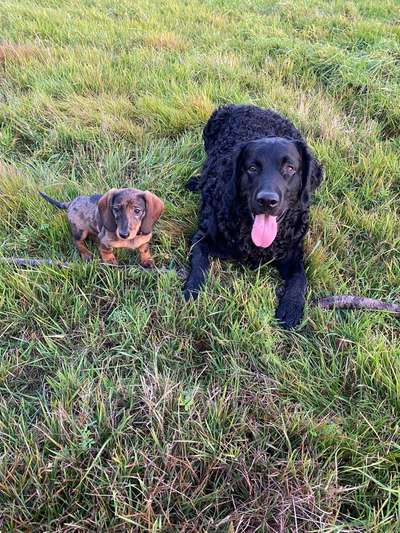 Vorher.... Nachher-Beitrag-Bild