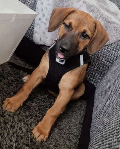 Challenge Nr. 10: "Das schönste Lächeln"-Beitrag-Bild