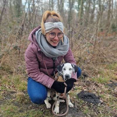 Hundetreffen-Gassifreunde